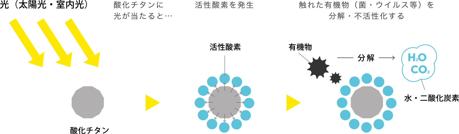 作用イメージ